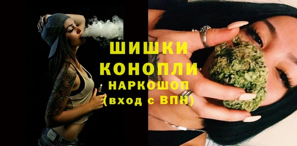 mdpv Богданович