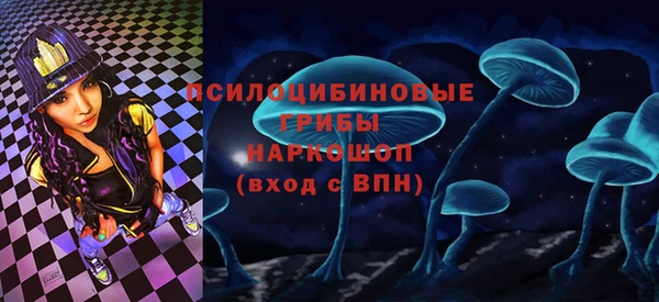 ECSTASY Богородицк
