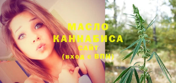 ECSTASY Богородицк