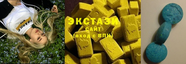 ECSTASY Богородицк