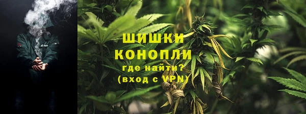 ECSTASY Богородицк