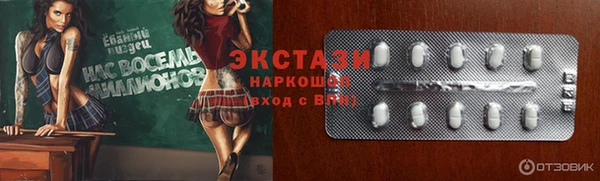 ECSTASY Богородицк